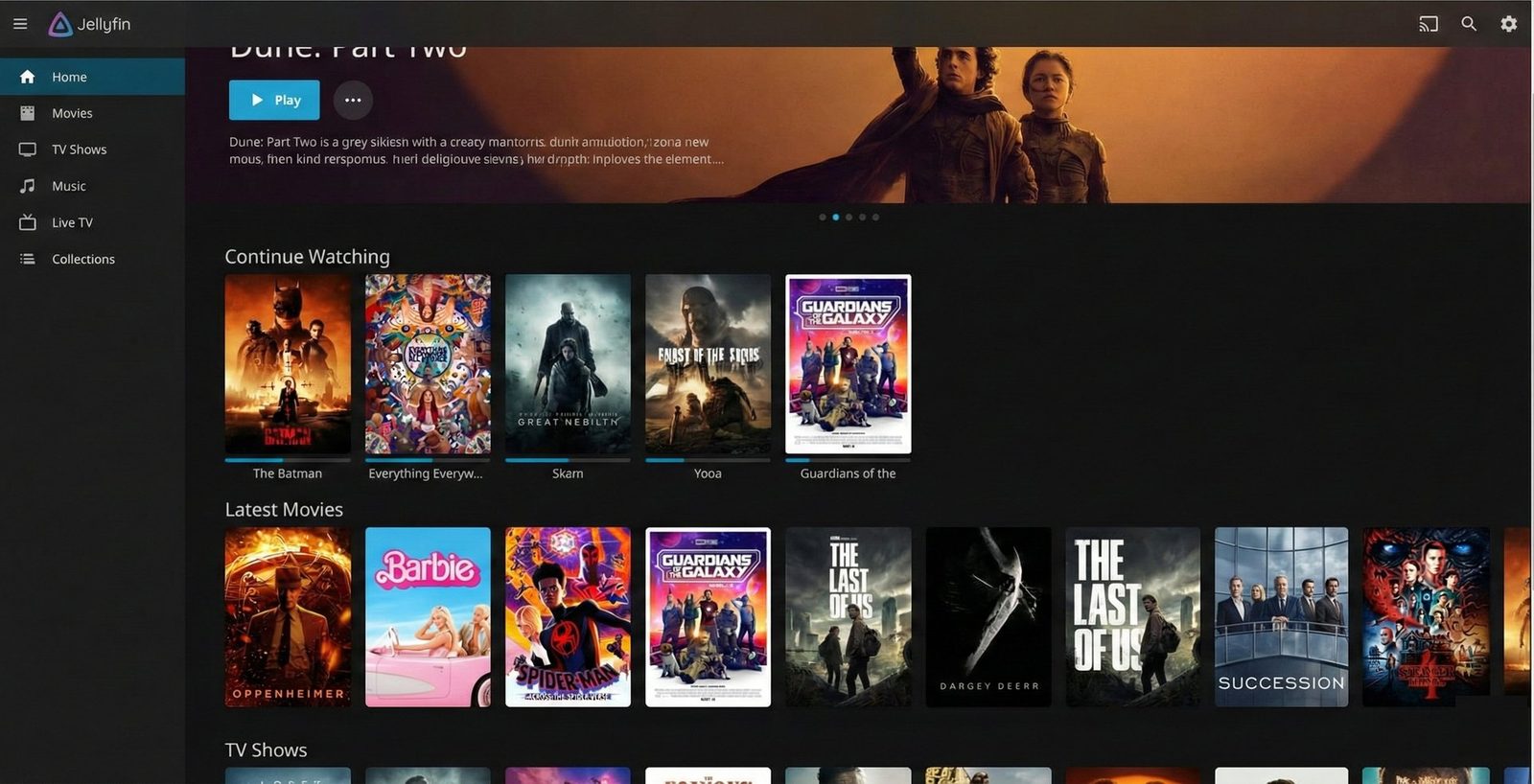 Jellyfin media server interface