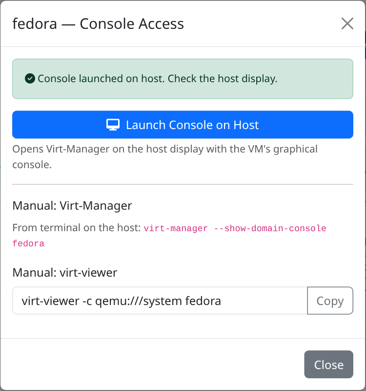 Console access dialog for a VM